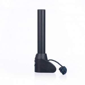 Επέκταση ιστού για windsurfing